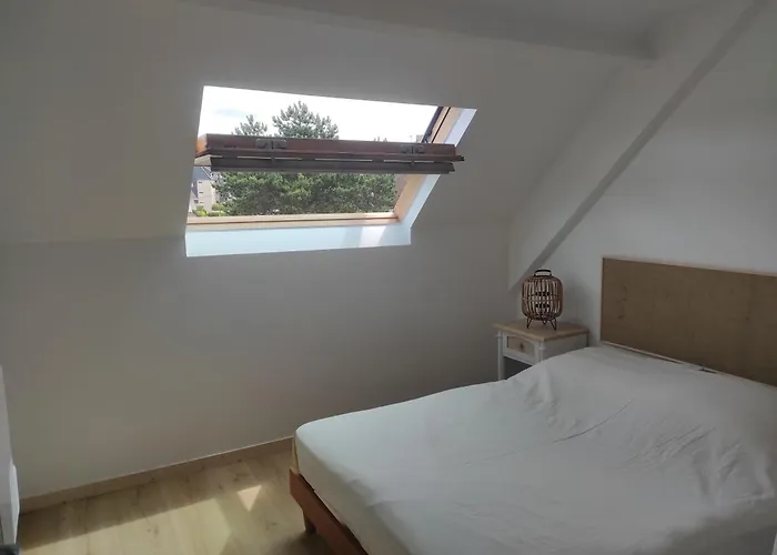 Apartamento Duplex T3 Refait A Neuf Sur 2h30 De Paris